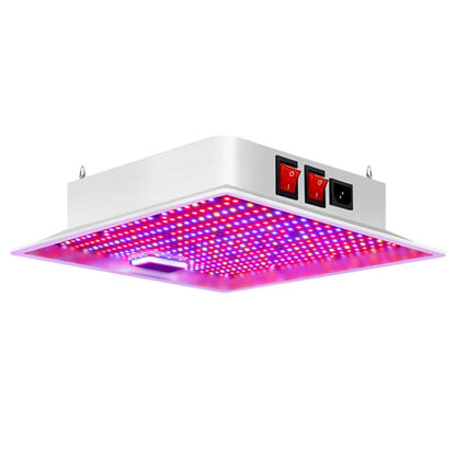 TBD0606162901D.jpg@96a18a2b2593ed2fbd2957611ea6903d