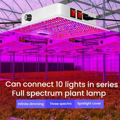 TBD06061629_B1.jpg@4f5c7bdeb98203e83ff23e55b04e4e8f