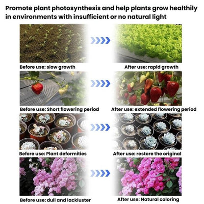 TBD06061629_B2.jpg@76ecebf7b7535483d0b1761d6f1fa857