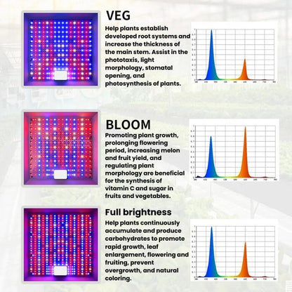 TBD06061629_B3.jpg@dda3b0fafa4e0a03dc741b7b08b26352