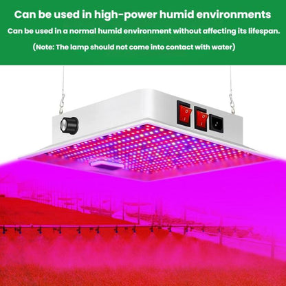 TBD06061629_B6.jpg@9d9fe19db69e877a1fccd85b3d3cb4d1