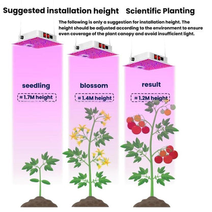 TBD06061629_B8.jpg@6545635404e86c38f4e4c066f17be50e