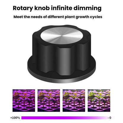 TBD06061629_B9.jpg@b0a90915f73c0e176f5d35d24687fe8f