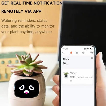 TBD06061633_B6.jpg@6bad8271898b000b57931d65c60f7e58