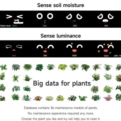 TBD06061633_B9.jpg@a9fc3cdd2a1b63934a97c91e2878f398