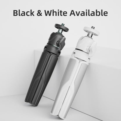 TBD06061841_B7.jpg@3f078122d84deff27011e2c6a54de609