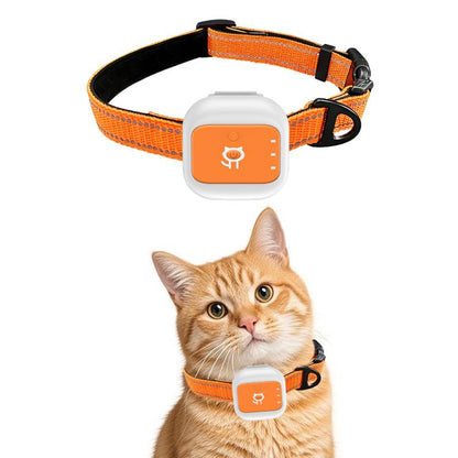 Orange GPS pet locator collar with white tracking device on a cat