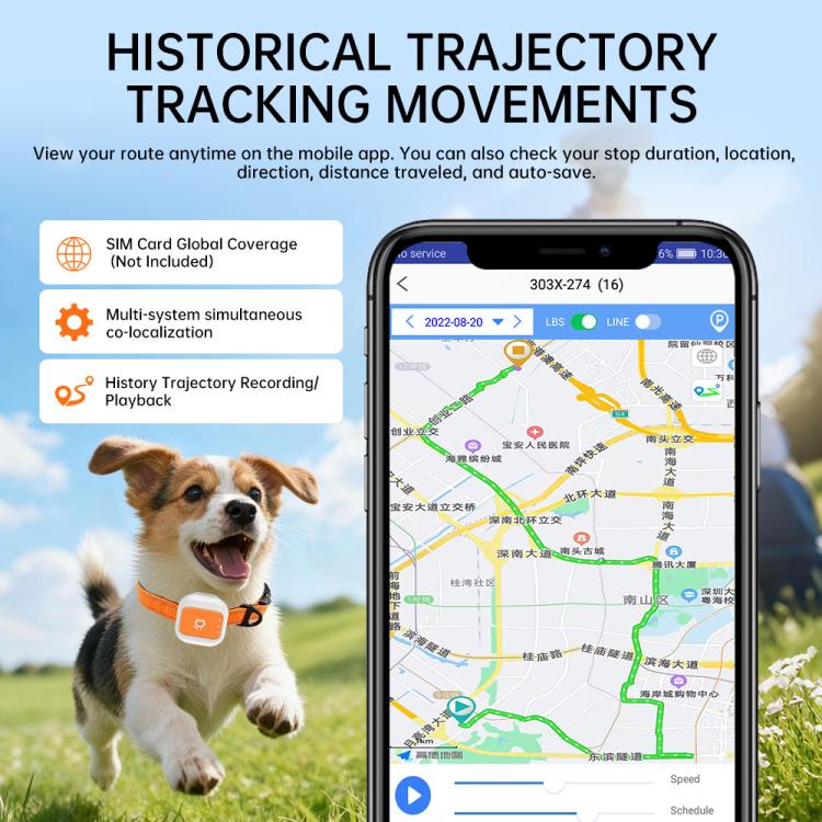 GPS pet locator collar on a running dog with route tracking app on phone