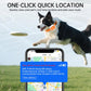 GPS pet locator collar on a black-and-white dog with quick location map on phone