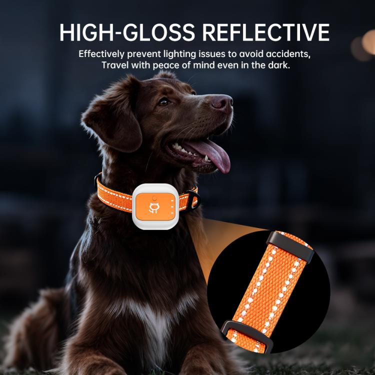 Reflective orange GPS pet locator collar on a dark dog with white tracking device