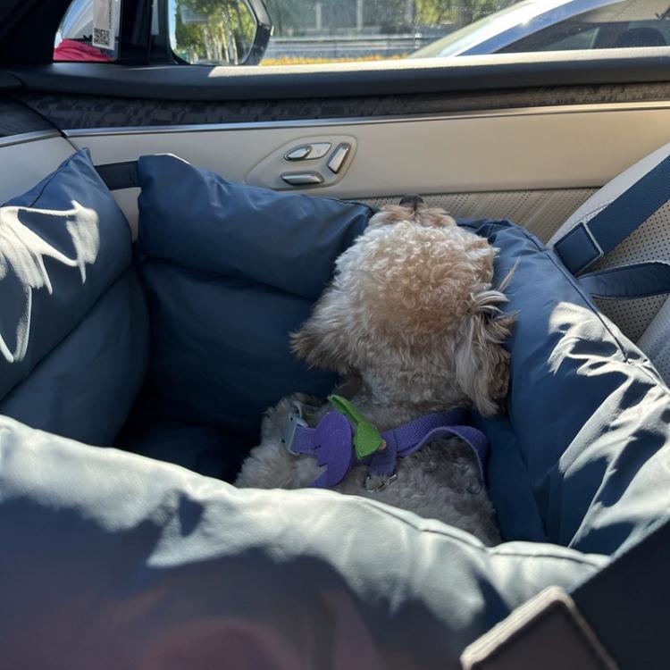 Car Seat Removable Washable PU Waterproof Chew-resistant Pet Bed, 50x45x40cm