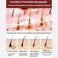 Hair growth function illustration showing red light over scalp and hair cycle