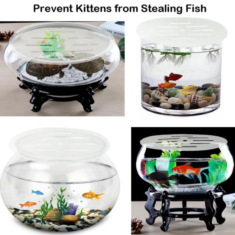 Circular clear acrylic anti-jump cover with perforations on a glass tank