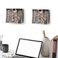 Acrylic Magazine & Book Wall-Mounted Rack For Living Room Office, Single, Double