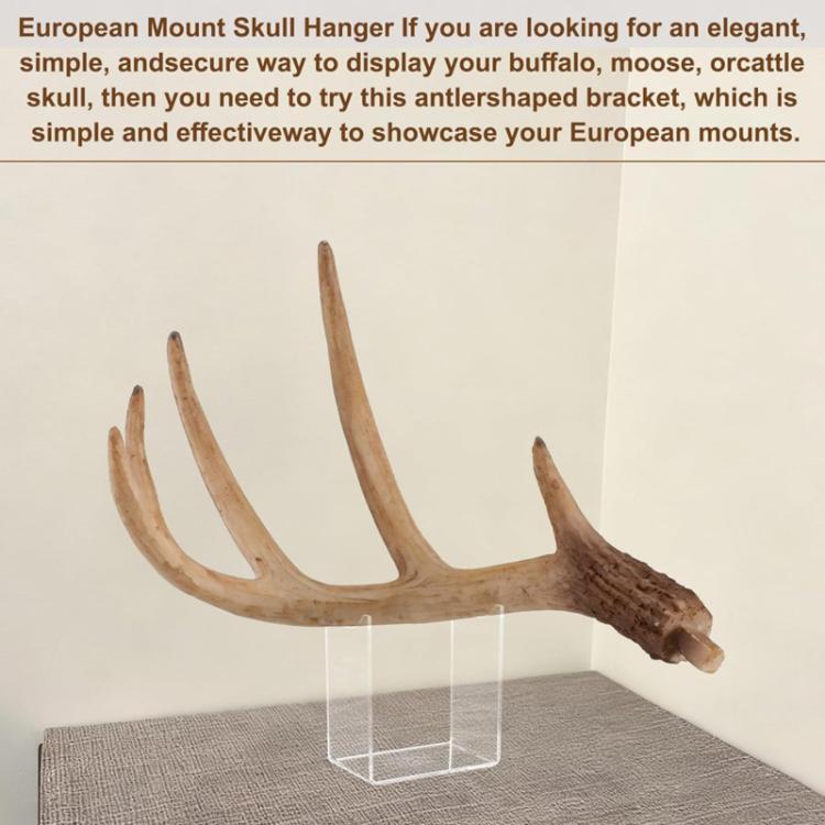 Clear acrylic U-shaped antler stand holding a brown antler rack