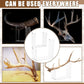 Clear acrylic antler stand collage with curved top grips and open compartments