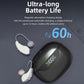 Behind-the-ear hearing aids with magnetic charging case and LED battery level display