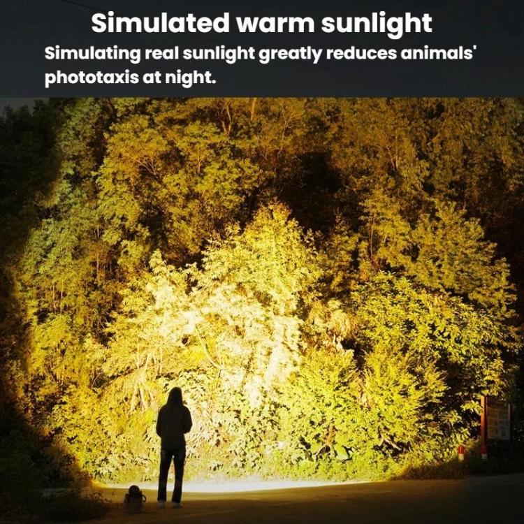 LED outdoor work light casting bright beam on nearby trees and ground