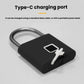 Black fingerprint padlock showing Type-C charging port and metal shackle