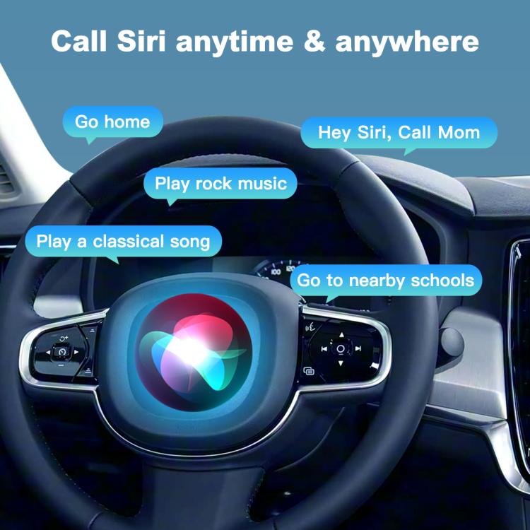 Car steering wheel with in-car assistant prompts and dashboard display