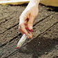 Hand holding clear syringe seed planter, placing seeds into dark soil