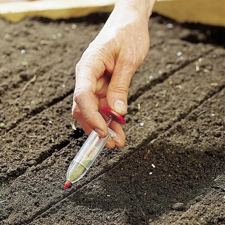 Hand holding clear syringe seed planter, placing seeds into dark soil