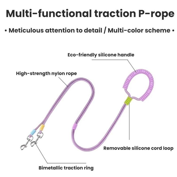 Purple double-dog traction P-rope leash with silicone handle loop and metal clips