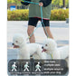 Blue traction leash with silicone cord loop and metal snap clips