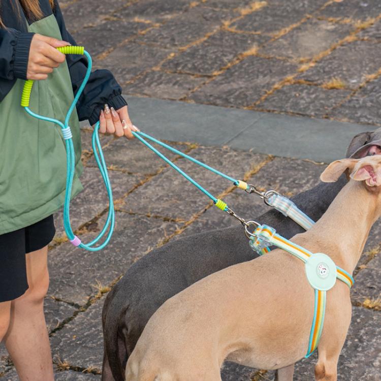 Two-dog leash with braided rope and metal clip, pastel rainbow accents.