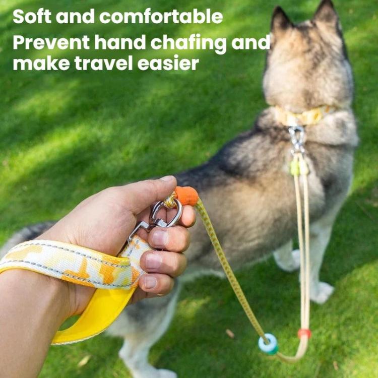 Yellow pet collar and double leash with metal connector, held in hand