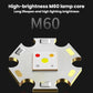LED lamp core module with M60 label and gold reflector light components