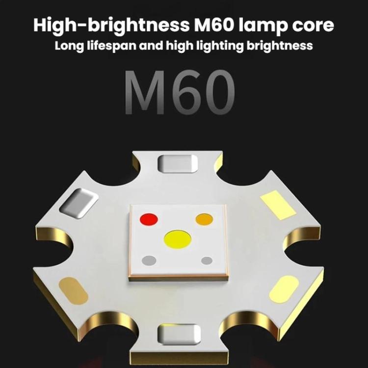 LED lamp core module with M60 label and gold reflector light components