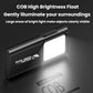 Black mini COB high-brightness flood light with wide illuminated panel