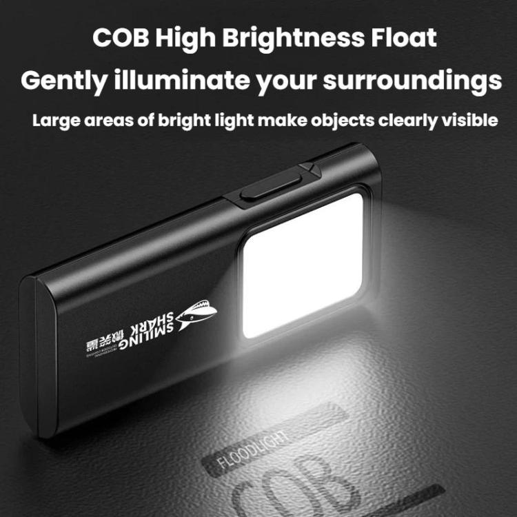 Black mini COB high-brightness flood light with wide illuminated panel