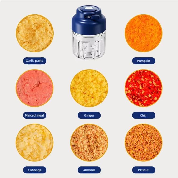 Mini electric garlic chopper with ingredient chopping sample icons for garlic, ginger, chili
