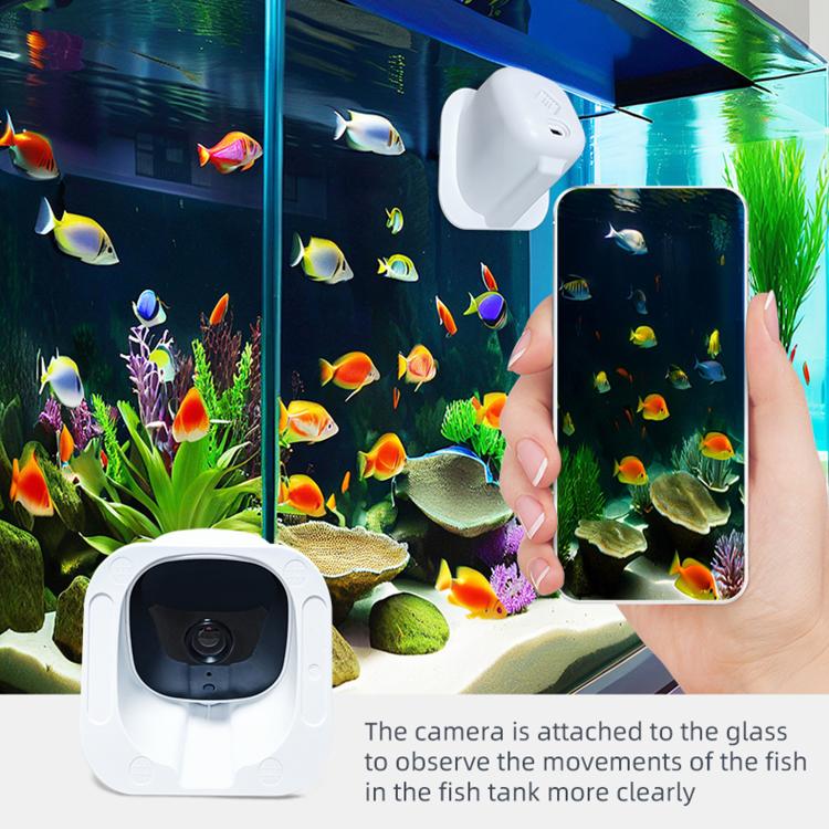 White security camera with lens and mounting base