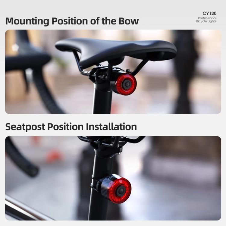 Bicycle rear light mounted on seatpost and on the bow mount