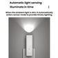 Human Body Induction Charging And Plug-In Dual-Use Night Light