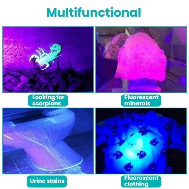 UV flashlight showing purple fluorescence on surfaces and stained items