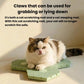 Green hexagonal cat scratcher mat with honeycomb surface and round center cutout