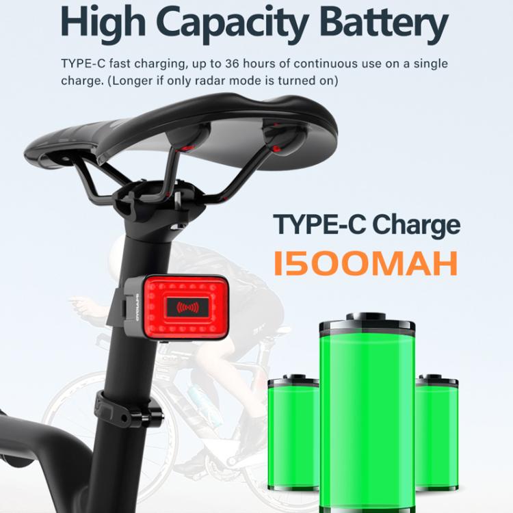 Bicycle tail light with red LED display and black seatpost mount