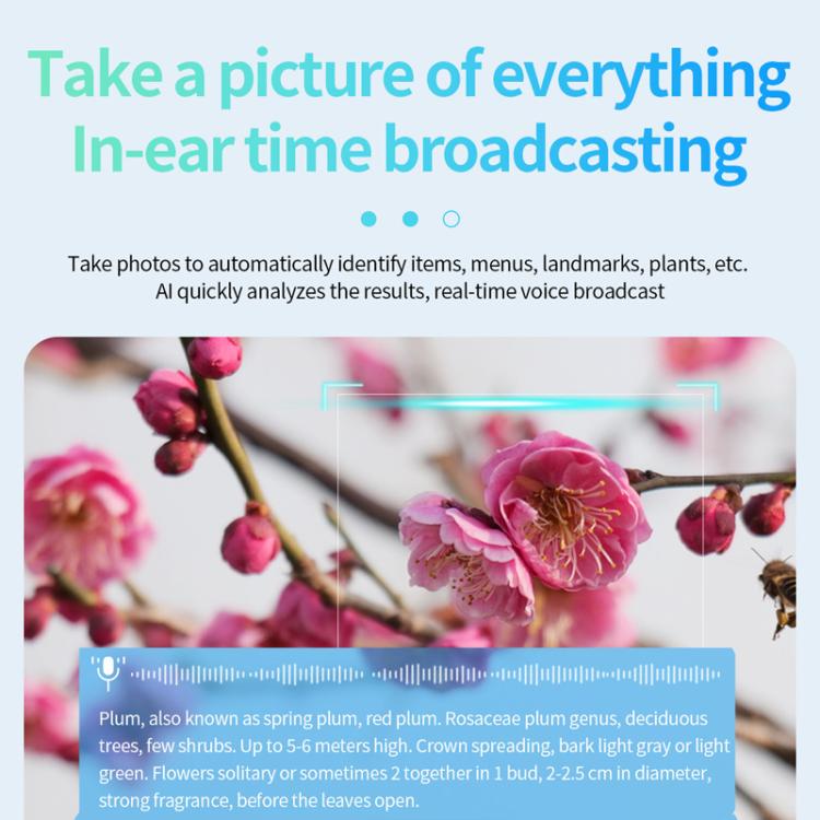 Smart glasses camera demo identifying pink plum blossoms with on-screen plant information
