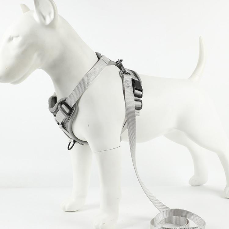 Gray dog vest harness with adjustable straps and metal buckles, leash attached