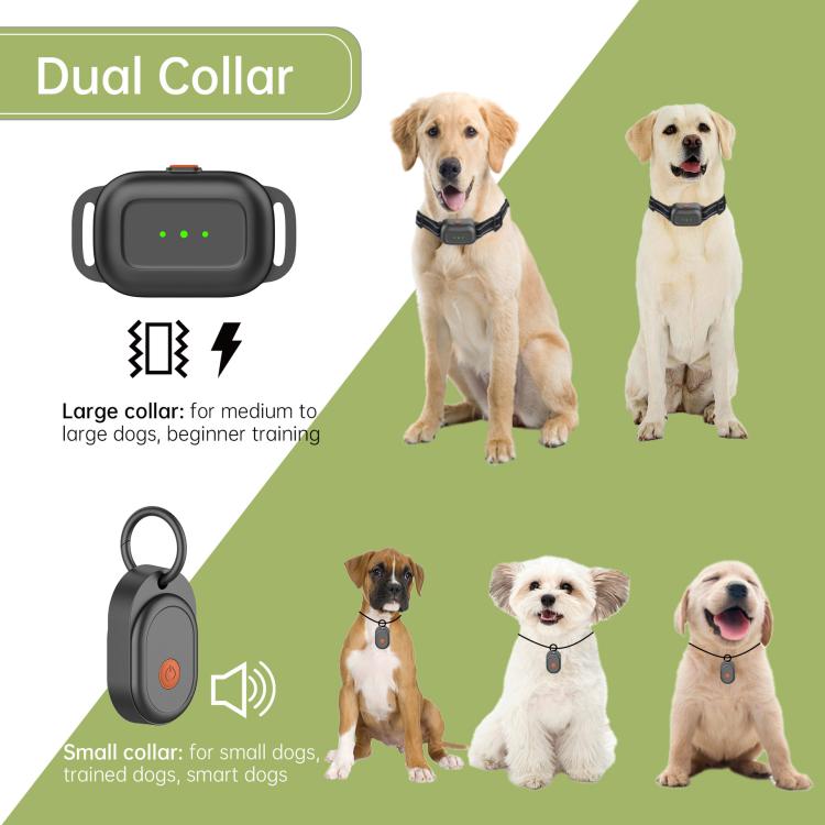 Dual electric dog fence collars with two black receivers for small and large dogs