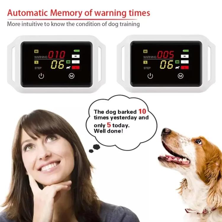 Dog training collar with illuminated color screen and gray fabric strap, close-up.