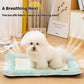 Dog resting on breathable cooling mat with raised backrest pillow; mint border and white center