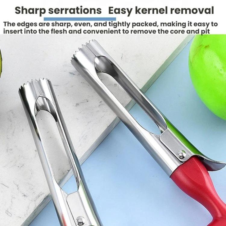 Stainless steel fruit corer with serrated edges and red-green plastic handles