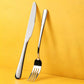 Stainless steel knife and fork set with polished finish