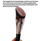 Angled flat contour makeup brush with dense trapezoid bristle head and silver ferrule