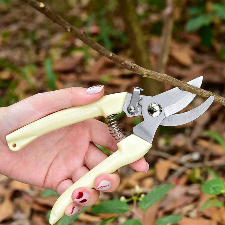 Ivory-handled pruning shears with curved blade cutting a small branch